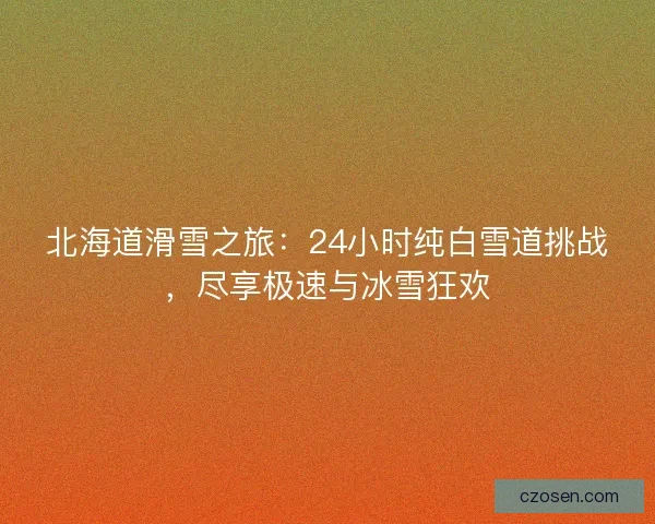 北海道滑雪之旅：24小时纯白雪道挑战，尽享极速与冰雪狂欢